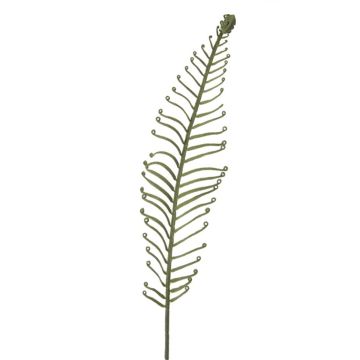 Hoja sintética de helecho real DRAGU, verde, 95cm Hoja sintética de helecho real DRAGU, verde, 95cm