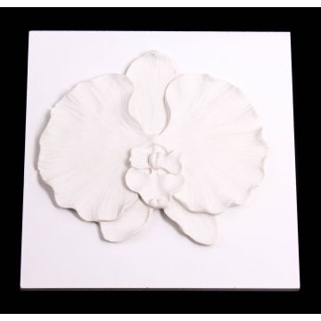 Cuadro decorativo de Orquídea Phalaenopsis LAMINA, blanco, 21 x 21cm