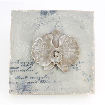 Cuadro decorativo de Orquídea Phalaenopsis LAMINA, gris claro, 32 x 32cm