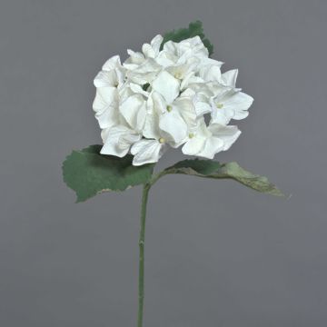 Flor artificial de hortensia GUNILLA, Colección Eco, blanco-lila, 60 cm, Ø 12 cm Flor artificial de hortensia GUNILLA, Colección Eco, blanco-lila, 60 cm, Ø 12 cm