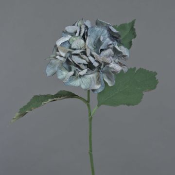 Flor artificial de hortensia GUNILLA, Colección Eco, gris azulado, 60 cm, Ø 12 cm Flor artificial de hortensia GUNILLA, Colección Eco, gris azulado, 60 cm, Ø 12 cm