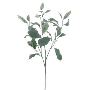Rama de eucalipto de plástico MALEEN, Colección Eco, verde, 75cm Rama de eucalipto de plástico MALEEN, Colección Eco, verde, 75cm