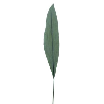 Hoja de palmera de zapatero artificial MALEKO, Colección Eco, verde, 80 cm