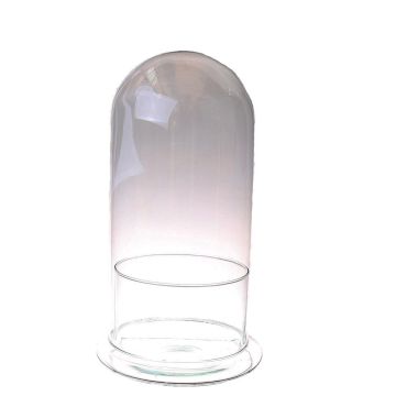 Campana de cristal FRANKHILDE con plato, reciclada, transparente, 32 cm, Ø 17,5 cm Campana de cristal FRANKHILDE con plato, reciclada, transparente, 32 cm, Ø 17,5 cm