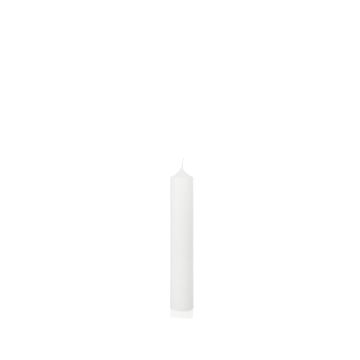 Vela de chimenea FRANZISKA, blanca, 30cm, Ø5cm, 64h - Fabricada en Alemania Vela de chimenea FRANZISKA, blanca, 30cm, Ø5cm, 64h - Fabricada en Alemania