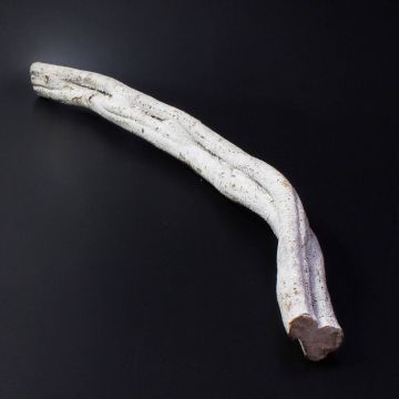 Liana Cipo Rosca MALINDI, producto natural, seca, blanco, 70 cm Ø 8 cm