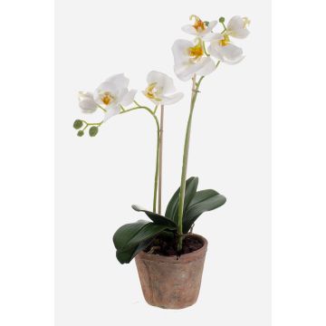 Orquídea artificial Phalaenopsis MINA en maceta de terracota, blanca, 45 cm Orquídea artificial Phalaenopsis MINA en maceta de terracota, blanca, 45 cm