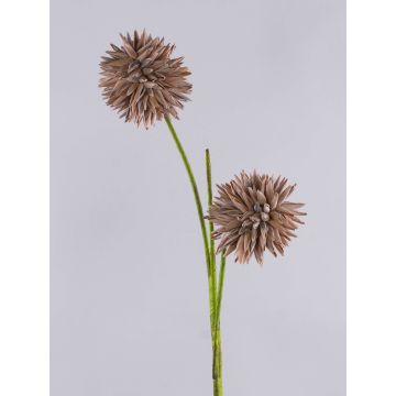 Espuma sintética Allium CHIRARA, marrón, 90 cm, Ø 10 cm