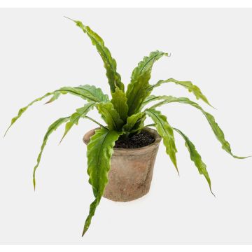 Helecho artificial «Nestfarn» FRANNY en maceta de terracota, verde, 30 cm, Ø 30 cm