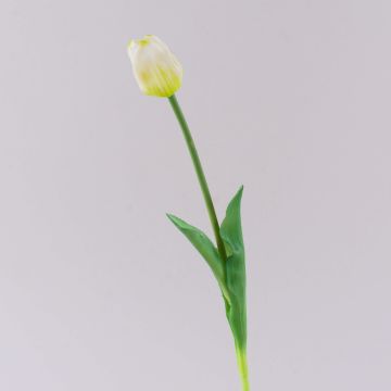 Tulipán artificial LONA, blanco y verde, 45 cm, Ø 4 cm Tulipán artificial LONA, blanco y verde, 45 cm, Ø 4 cm