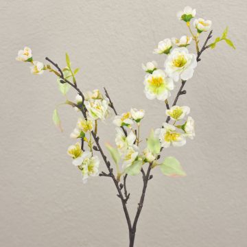 Rama artificial de cerezo en flor SOEY con flores, crema-blanco, 45cm, Ø2-4,5cm Rama artificial de cerezo en flor SOEY con flores, crema-blanco, 45cm, Ø2-4,5cm