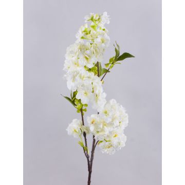 Rama artificial de flores de cerezo MATSUDA con flores, blanco crema, 80 cm, Ø 6-11 cm Rama artificial de flores de cerezo MATSUDA con flores, blanco crema, 80 cm, Ø 6-11 cm