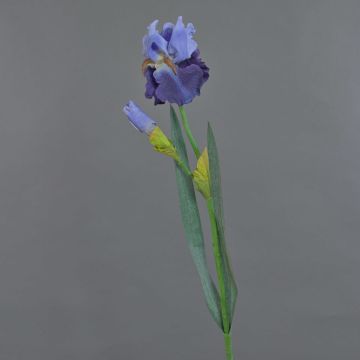 Iris de plástico ALYSSA, azul, 70cm, Ø13cm