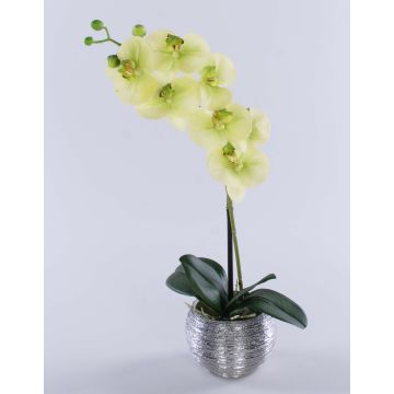 Orquídea Phalaenopsis artificial EMILIA, maceta decorativa, verde crema, 45 cm Orquídea Phalaenopsis artificial EMILIA, maceta decorativa, verde crema, 45 cm