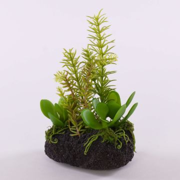 Arreglo decorativo de suculentas BAMBI con terrón, verde, 19 cm