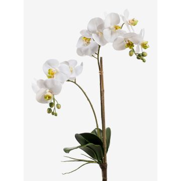 Orquídea Phalaenopsis artificial CANDIDA con palo, blanca, 65cm