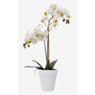 Orquídea Phalaenopsis artificial CANDIDA en maceta de cerámica, blanca, 65 cm