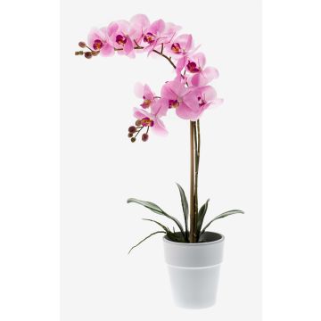 Orquídea Phalaenopsis artificial CANDIDA en maceta de cerámica, rosa, 65 cm Orquídea Phalaenopsis artificial CANDIDA en maceta de cerámica, rosa, 65 cm