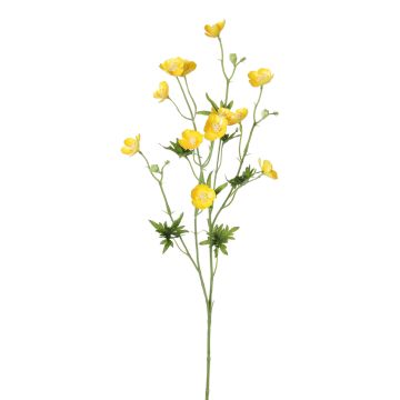 Ranúnculo artístico NORA, amarillo, 70cm, Ø3-3,5cm Ranúnculo artístico NORA, amarillo, 70cm, Ø3-3,5cm