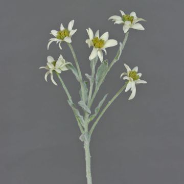 Edelweiss de plástico SOPHIA, blanco, 40cm, Ø5-6cm