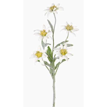 Edelweiss de plástico SOPHIA, blanco, 40cm, Ø5-6cm Edelweiss de plástico SOPHIA, blanco, 40cm, Ø5-6cm