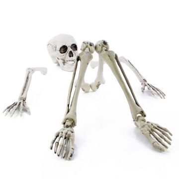 Figura decorativa de Halloween: partes de esqueleto ADALBERT con 5 estacas para clavar en el suelo, 19 cm, 45 cm, 66 cm Figura decorativa de Halloween: partes de esqueleto ADALBERT con 5 estacas para clavar en el suelo, 19 cm, 45 cm, 66 cm