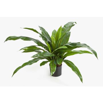 Falso helecho nido de ave JANE, verde, 80cm, Ø80cm Falso helecho nido de ave JANE, verde, 80cm, Ø80cm