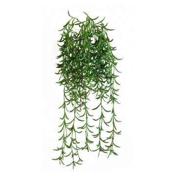 Rhipsalis de plástico colgante KLEMENIS con palo, verde, 45cm Rhipsalis de plástico colgante KLEMENIS con palo, verde, 45cm