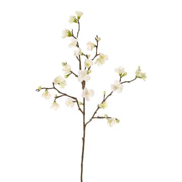 Rama de manzano en flor de plástico SADAKA, floración, crema, 130cm Rama de manzano en flor de plástico SADAKA, floración, crema, 130cm