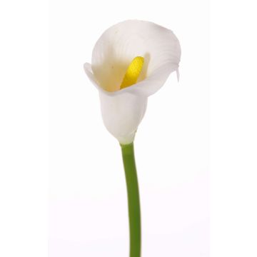 Flor textil Calla CHIDORA, blanca, 55cm, 5x6cm Flor textil Calla CHIDORA, blanca, 55cm, 5x6cm