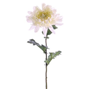Crisantemo artificial AMANDI, blanco, 75cm, Ø15cm Crisantemo artificial AMANDI, blanco, 75cm, Ø15cm