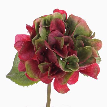 Hortensia de plástico CHIDORI, rojo-verde, 30cm, Ø13cm Hortensia de plástico CHIDORI, rojo-verde, 30cm, Ø13cm
