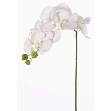 Rama de orquídea de plástico GALINA, crema, 45cm Rama de orquídea de plástico GALINA, crema, 45cm