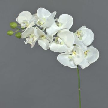 Rama de orquídea de plástico GALINA, crema, 45cm
