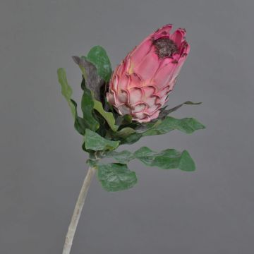 Flor falsa Protea NELLI, rosa, 75cm, Ø8cm