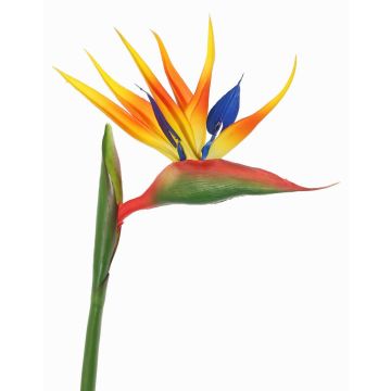 Estrelicia artificial LATIFA, naranja-morado, 80cm, 17x20cm Estrelicia artificial LATIFA, naranja-morado, 80cm, 17x20cm