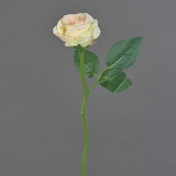 Rosa artificial GABI, rosa-crema, 25cm, Ø5cm