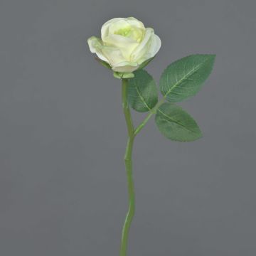 Rosa artificial GABI, verde-crema, 25cm, Ø5cm