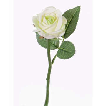 Rosa artificial GABI, crema-verde, 30cm, Ø6cm Rosa artificial GABI, crema-verde, 30cm, Ø6cm