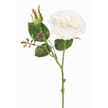 Rosa repollo de plástico JUDY, crema, 40cm, Ø9cm Rosa repollo de plástico JUDY, crema, 40cm, Ø9cm