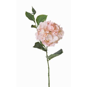 Hortensia de plástico ASUKA, rosa, 80cm, Ø15cm Hortensia de plástico ASUKA, rosa, 80cm, Ø15cm
