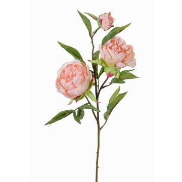 Rama textil de peonía MANJA, rosa, 70cm, Ø8-10cm Rama textil de peonía MANJA, rosa, 70cm, Ø8-10cm