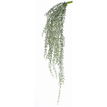 Suculenta artificial senecio colgante KANELO, con palo, verde-gris, 80cm Suculenta artificial senecio colgante KANELO, con palo, verde-gris, 80cm