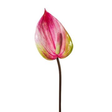 Flor artificial de flamenco GRUNT, rosa, 75cm Flor artificial de flamenco GRUNT, rosa, 75cm