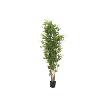 Bambú de plástico ELISSO, tallos naturales, 180 cm Bambú de plástico ELISSO, tallos naturales, 180 cm
