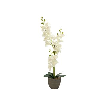 Orquídea textil Phalaenopsis KATALIN, maceta decorativa, color crema, 80 cm Orquídea textil Phalaenopsis KATALIN, maceta decorativa, color crema, 80 cm