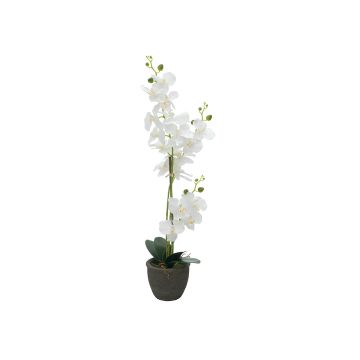 Orquídea Phalaenopsis de tela KATALIN, maceta decorativa, blanca, 80 cm Orquídea Phalaenopsis de tela KATALIN, maceta decorativa, blanca, 80 cm