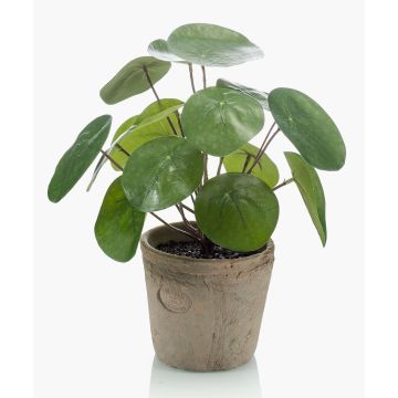 Suculenta artificial «Glückstaler» SYBIL en maceta de terracota, verde, 20 cm Suculenta artificial «Glückstaler» SYBIL en maceta de terracota, verde, 20 cm