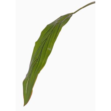 Hoja de cordiline de plástico ELARA, verde, 90cm Hoja de cordiline de plástico ELARA, verde, 90cm