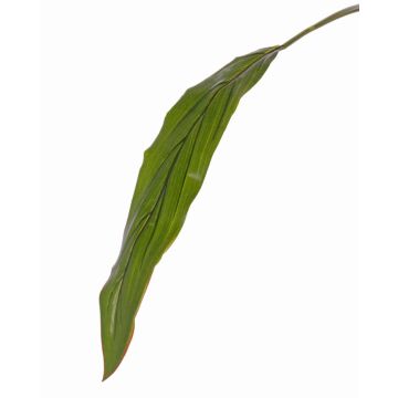 Hoja de cordiline de plástico ELARA, verde, 90cm Hoja de cordiline de plástico ELARA, verde, 90cm